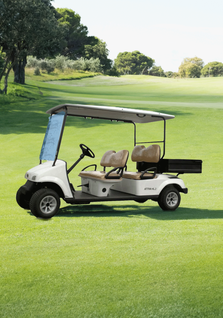 golf car usate, golf car rigenerate, vendita golf car, noleggio golf car, carrelli da golf usati, carrelli da golf rigenerati, prezzi golf car, finanziamenti golf car, garanzia golf car