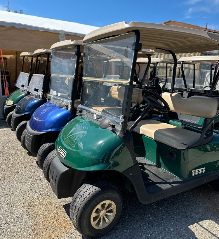 golf car usate, golf car rigenerate, vendita golf car, noleggio golf car, carrelli da golf usati, carrelli da golf rigenerati, prezzi golf car, finanziamenti golf car, garanzia golf car