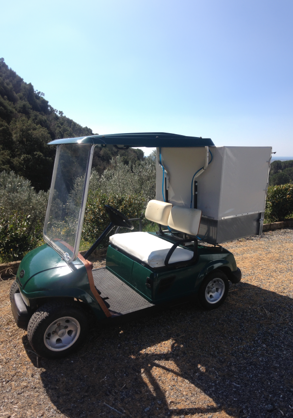 golf car usate, golf car rigenerate, vendita golf car, noleggio golf car, carrelli da golf usati, carrelli da golf rigenerati, prezzi golf car, finanziamenti golf car, garanzia golf car