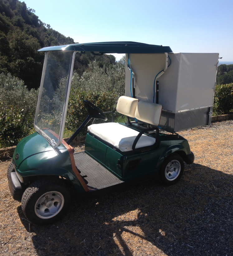 golf car usate, golf car rigenerate, vendita golf car, noleggio golf car, carrelli da golf usati, carrelli da golf rigenerati, prezzi golf car, finanziamenti golf car, garanzia golf car